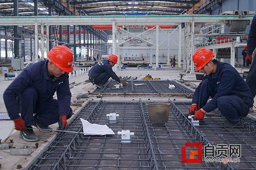 四川强固建科新型建材产业基地项目已投入试生产